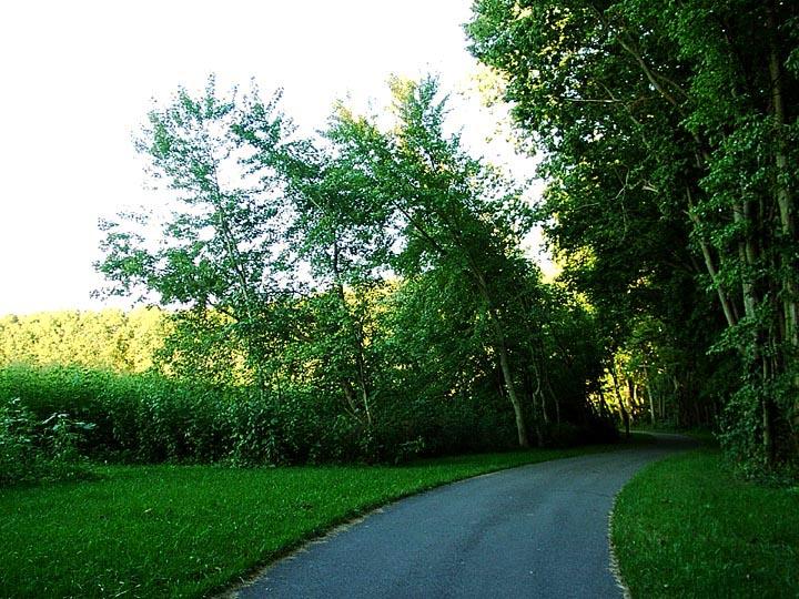 40. Bike Path Near New Haven.JPG